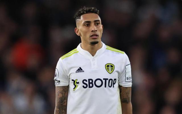 所描述的尼 所描述的尼