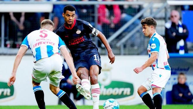 需要强调的 需要强调的