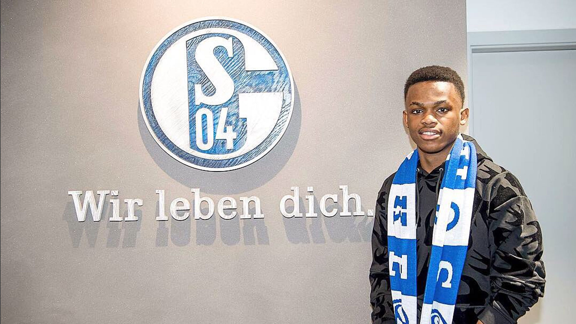 展示了荷兰 展示了荷兰