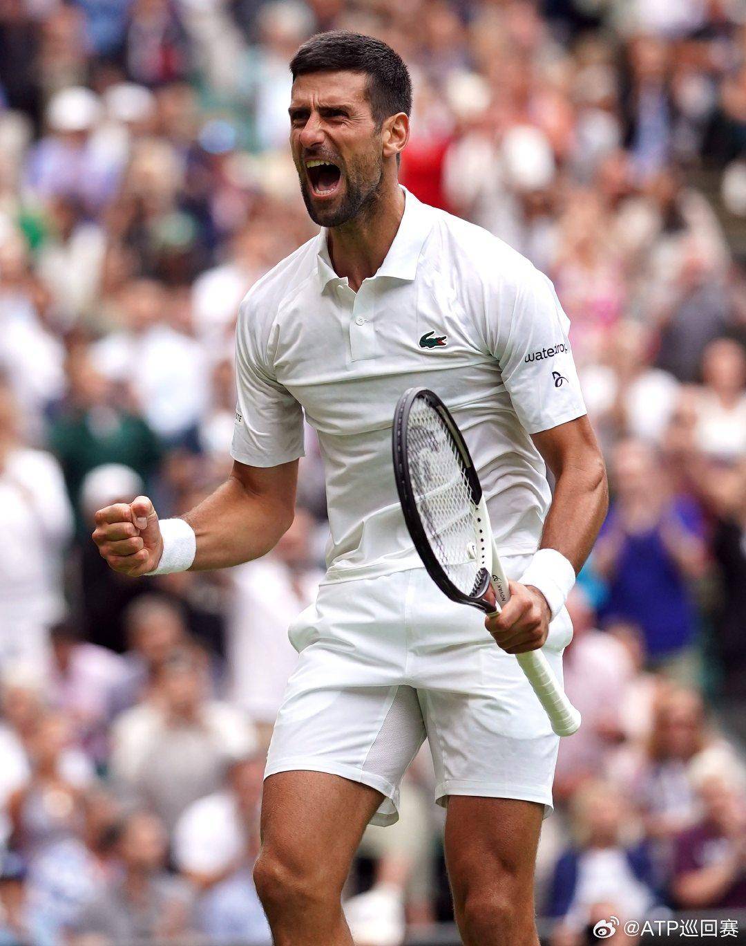 为锚点的节 为锚点的节